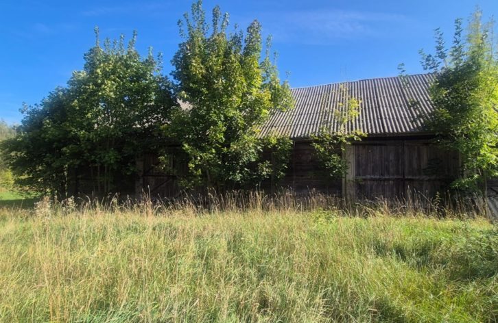 Stara Chata, Nowy Kierunek: Inwestycyjny Potencjał Nieruchomości w Centralnej Części Wsi